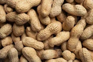 Cacahuètes entières avec leur coque, illustrant les bienfaits des cacahuètes pour la santé, la satiété et l’équilibre nutritionnel.